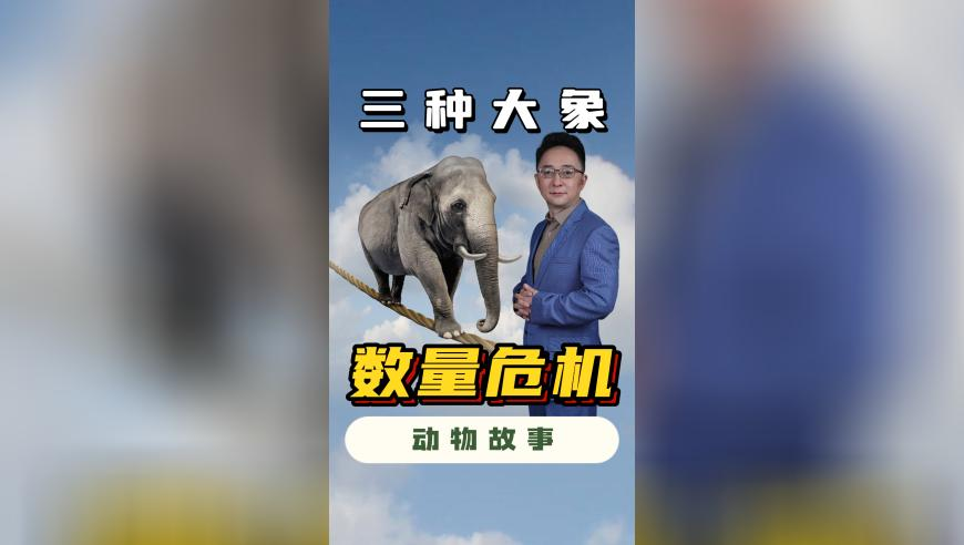 国羽组合夺混双冠军 却收到女双金牌,香港二四六308kcm,全面解答解释落实_定制版V1.42
