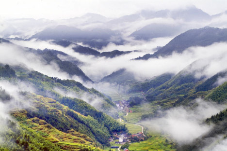 兰州大雪引发的“一锅乱炖”盛景